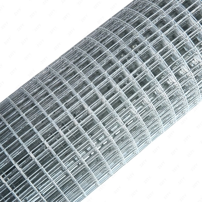 Welded Wire Mesh